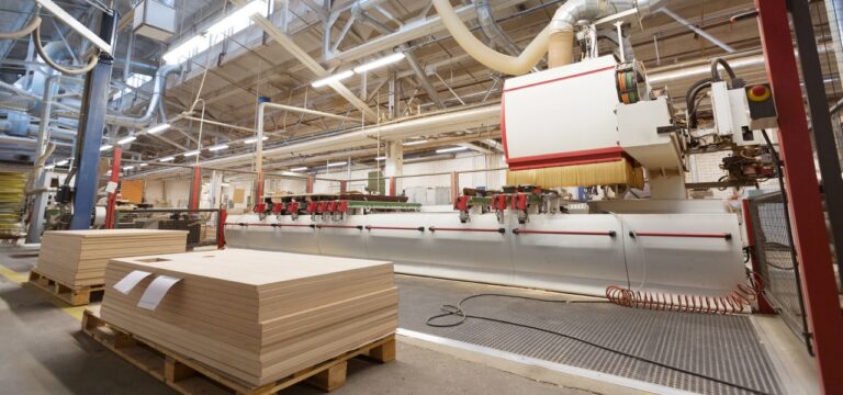 Minister: Holzbranche drohen Sägeverbote wegen FFH-Gebieten