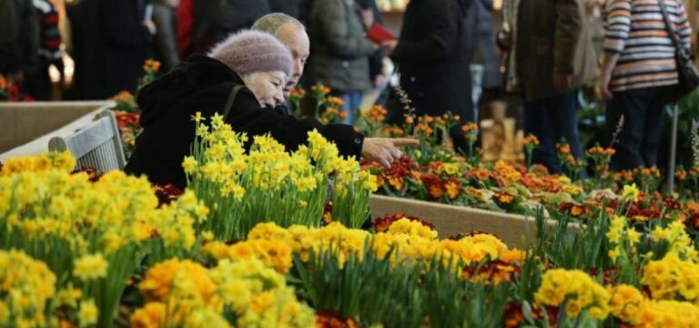 Ostseemesse in Rostock wegen Corona-Lage abgesagt