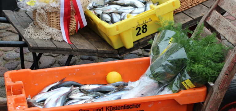 Wismar: Internationaler Fischhandel ist zum Erliegen gekommen