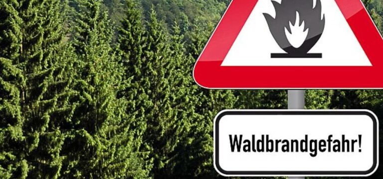 Deutlich weniger Waldbrände im Jahr 2020 als 2019
