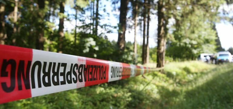 Hilferufe aus dem Wald: 70-Jähriger nach zwei Tagen gefunden
