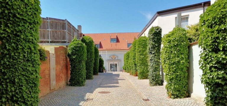 Sommerfest im Zeughaushof: Ein buntes Paradies für Kinder