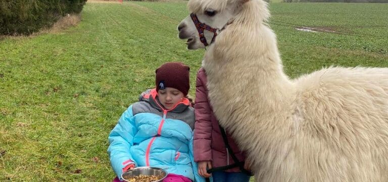 Tätowierte gegen Krebs: Die kleine Neele auf dem Alpakahof am Iserberg