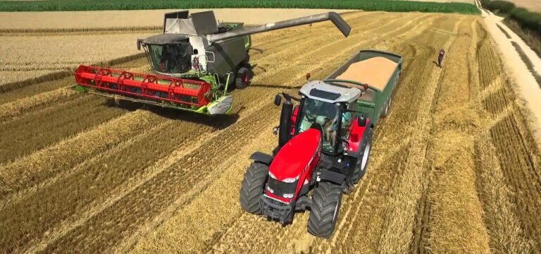 Immer weniger Arbeitskräfte in der MV-Landwirtschaft