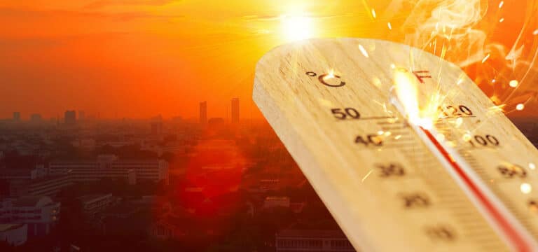 Sahara-Hitze: 34 Grad in Hamburg und Westmecklenburg