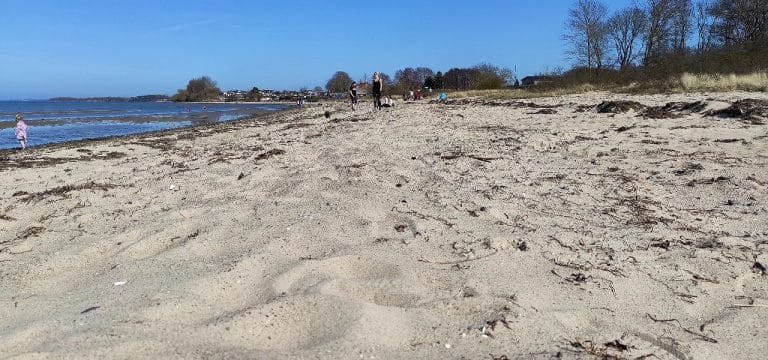 Sonne und milde Temperaturen in Mecklenburg-Vorpommern