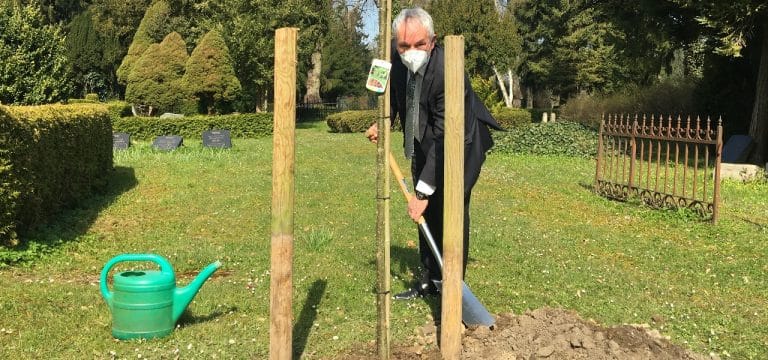 Wismar: Baumpflanzung zum Gedenken an die Verstorbenen der Corona-Pandemie