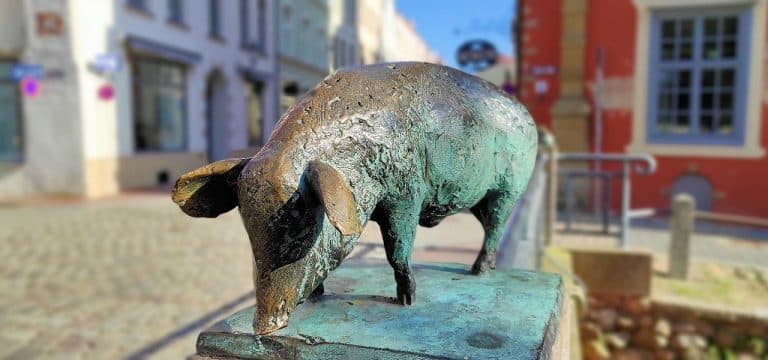 Wismar: Saisoneröffnung im „Schabbell“