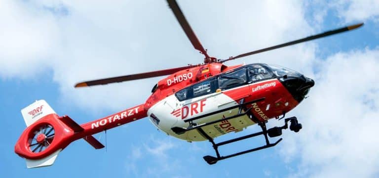 Parchim: Fünfjähriger Junge durch Hundeangriff lebensbedrohlich verletzt