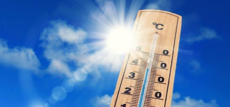 Sommer nimmt Fahrt auf: Freitag vermutlich noch wärmer