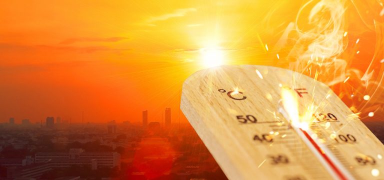 Neuer Hitzerekord in Mecklenburg-Vorpommern mit 39,4 Grad gemessen