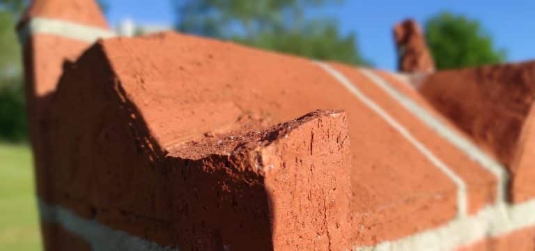 Wismar: Erneut Vandalismus – Welterbepfad auf der Kuhweide massiv zerstört