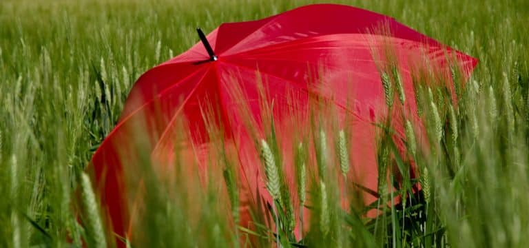 Wetter: August startet kühl in Mecklenburg-Vorpommern