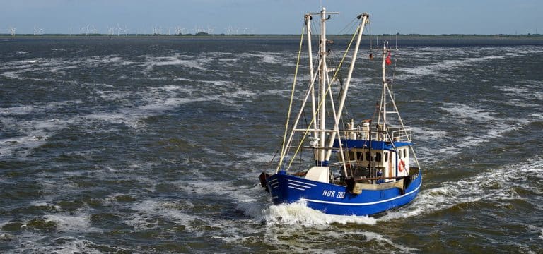 Dramatisch: Krise deutscher Ostseefischerei spitzt sich zu