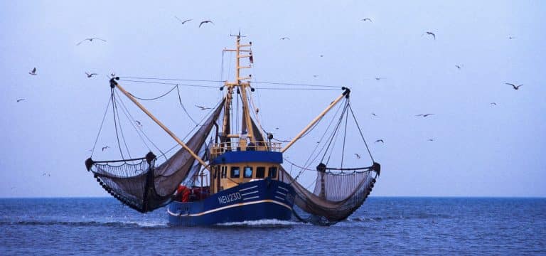 Deutsche Fischer fürchten Konfrontation mit Norwegen