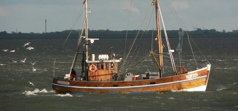 Agrar- und Fischereirat der EU berät über Ostseefischerei