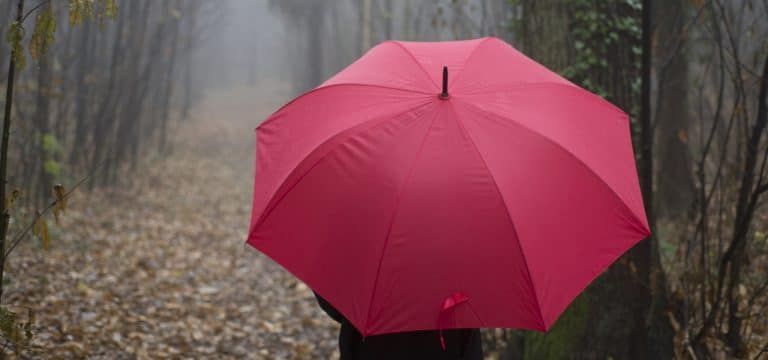 Heftiges Regenwetter: Wetter beruhigt sich zum Wochenstart