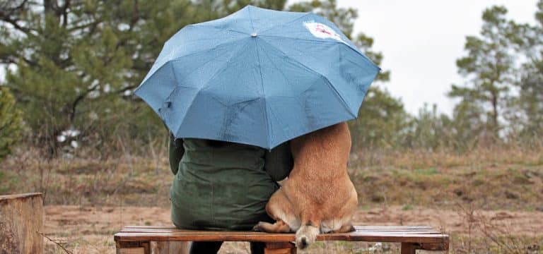 Trübe Aussichten: Regnerisches Wetter in Mecklenburg-Vorpommern