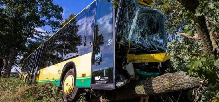 Plate: Ursache nach Busunfall noch unklar – Fahrer unter Verdacht