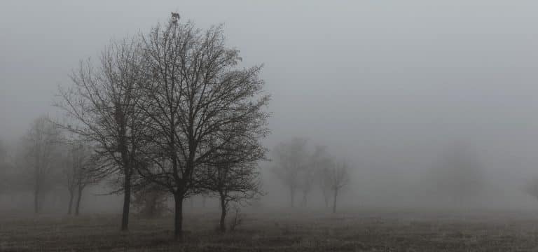 Nasskalter Wochenstart in Mecklenburg-Vorpommern