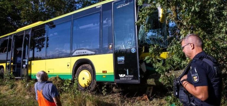 Plate: Schulbus fährt gegen Baum – Fünf Verletzte