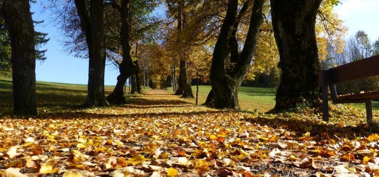 Kühl und trocken in Mecklenburg-Vorpommern