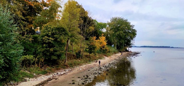 Wismar: Wieder Subbotnik am Wendorfer Strand