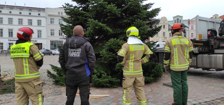 Wismar: Es ist wieder soweit – Am Freitag kommt der Weihnachtsbaum