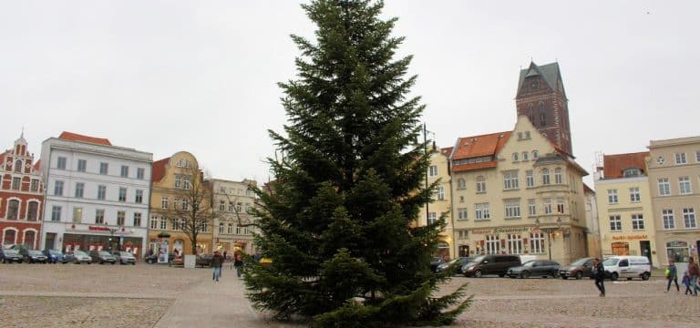 Damit es auch 2022 schön wird: Weihnachtsbaum für Wismar gesucht!