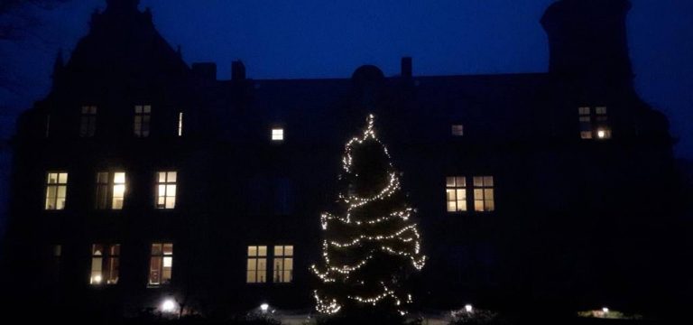 Der Tannenbaum strahlt auch in diesem Jahr am Schloss Bernstorf