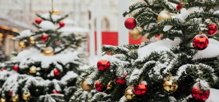 Rot plus: Weihnachtsmarkt schließt auch in Stralsund