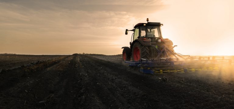 Mecklenburg-Vorpommern bisher von Trockenheit verschont: Trend negativ