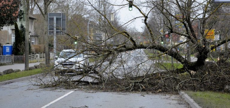 Hunderte sturmbedingte Einsätze in Norddeutschland