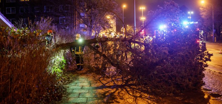 Orkantief „Zeynep“ und seine Folgen: Eine erste Bilanz
