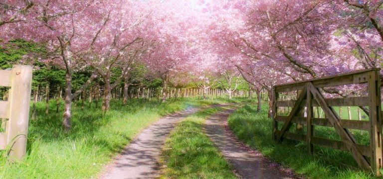 Kühler Frühling in Mecklenburg-Vorpommern