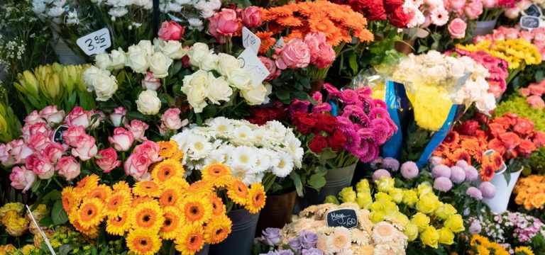 Valentinstag als Preistreiber: Blumen im Februar teurer