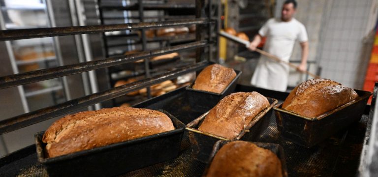 Bauern: Brot könnte doppelt so teuer werden