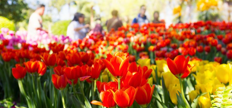 Land setzt Frist: Bis 10. Juni muss Buga-Entscheidung stehen