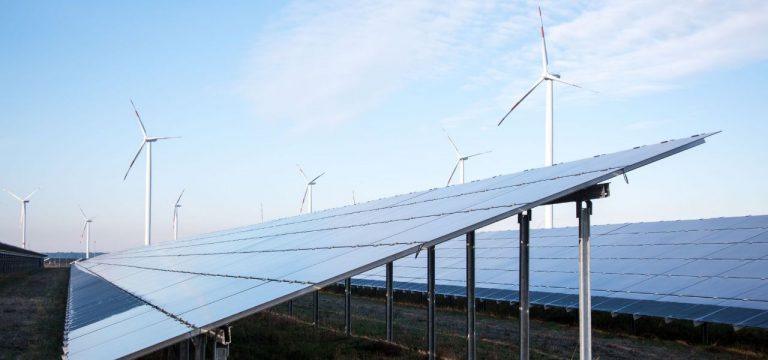 Solar-Stromproduktion in MV: Grüne fordern Tempo bei Ausbau
