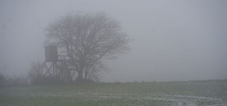 Nebel und Frost in Mecklenburg-Vorpommern
