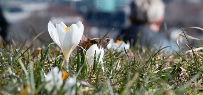 Jede Menge Sonne am Wochenende in Mecklenburg-Vorpommern