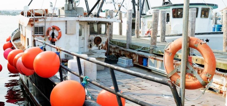 Ostseefischer bleiben wegen hoher Dieselpreise in den Häfen