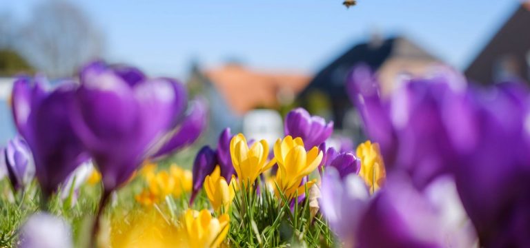 Sonniges Wetter in Mecklenburg-Vorpommern