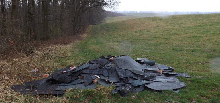 Illegaler Abfall am Waldrand entsorgt – Wer kann Hinweise geben?