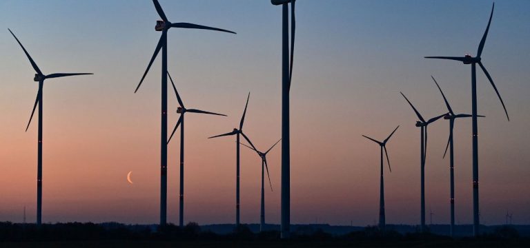 Ökostrom-Verband erwartet breite Front für Windkraftausbau