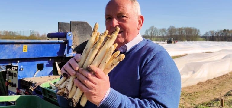 Spargel: Backhaus hofft auf guten Absatz trotz höherer Preise