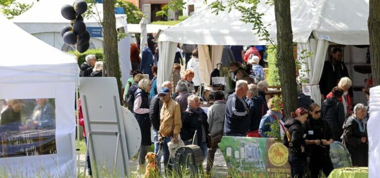 Vier Tage lang „Flair am Meer“ im Rostocker Iga-Park