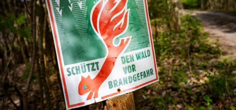 Bei Trockenheit 2023 bisher 32 Wald- und Flächenbrände in MV