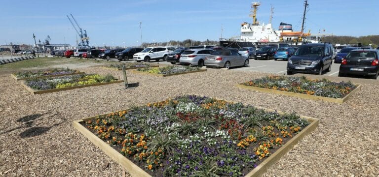 Rostock: Bundesgartenschau 2025 wird Thema im Landtag