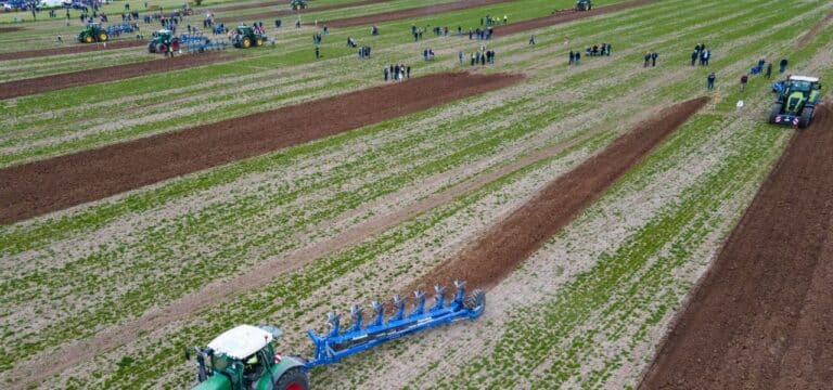 Brüsewitz: Pflügerwettbewerb in Nordwestmecklenburg